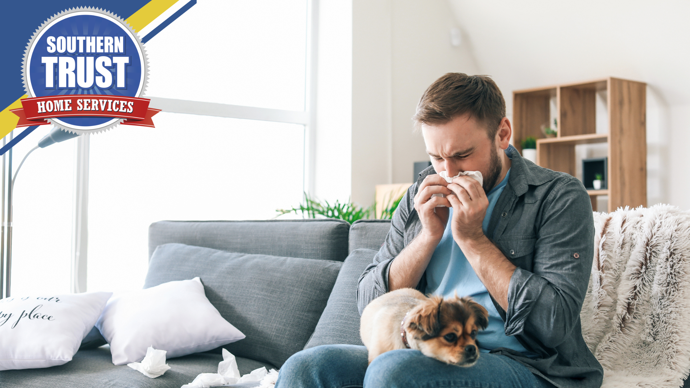 Man sitting on a sofa with a small dog, sneezing into a tissue. Several tissues are scattered around. "Southern Trust Home Services" logo is in the top left corner.